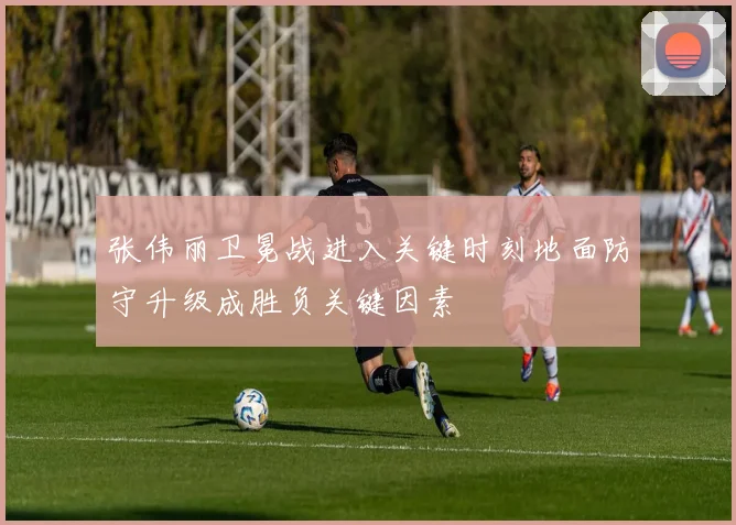 张伟丽卫冕战进入关键时刻地面防守升级成胜负关键因素